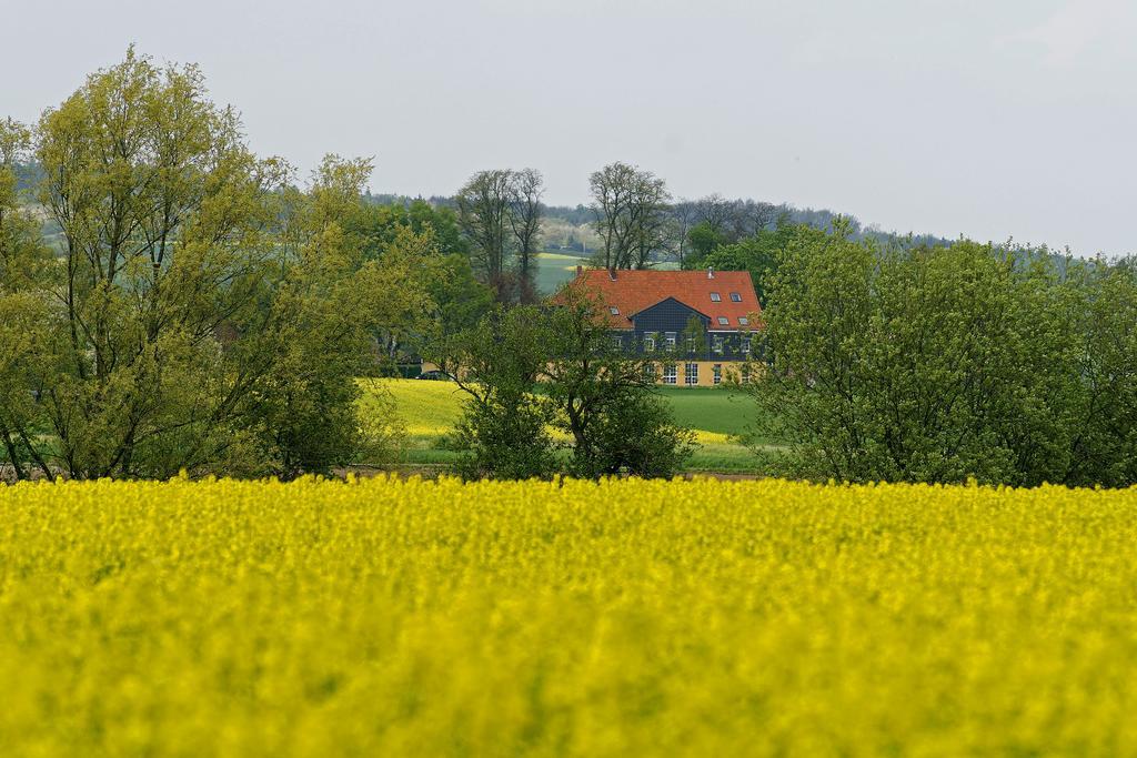 Landhaus Heidekrug Hildesheim Exterior foto